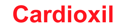 logotype